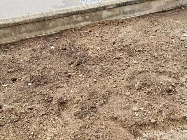 伐根作業最終回